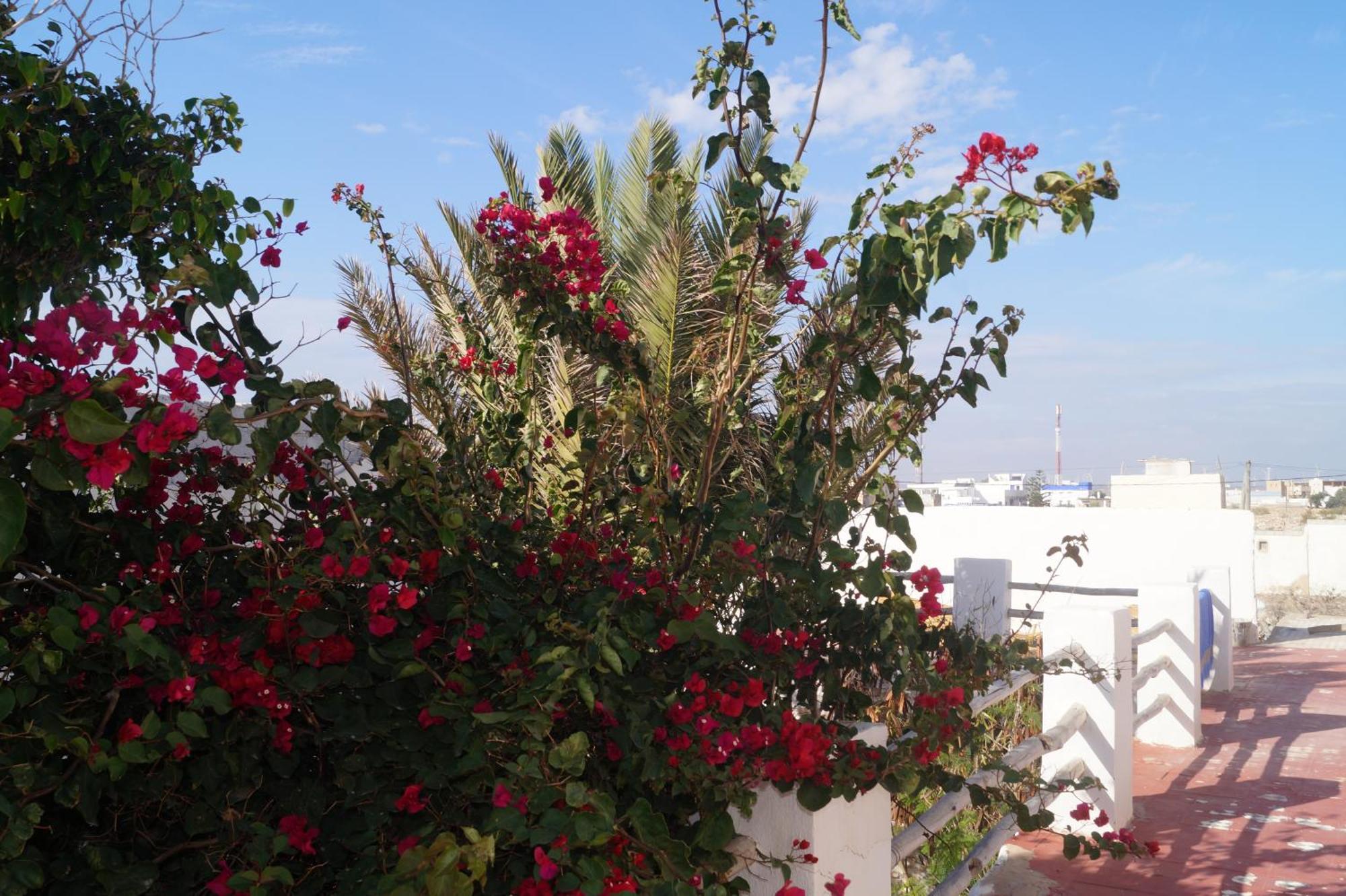 Hotel Sidi Kaouki Perla Exteriér fotografie
