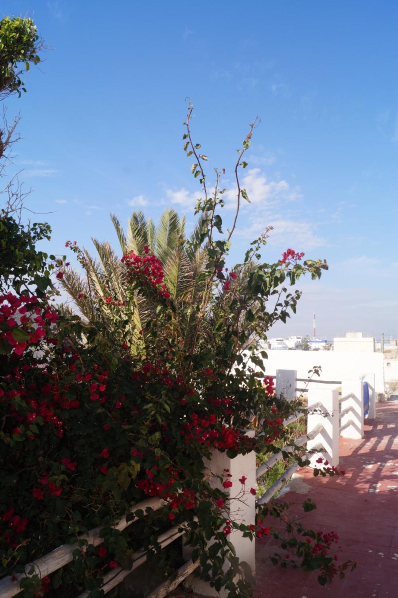 Hotel Sidi Kaouki Perla Exteriér fotografie