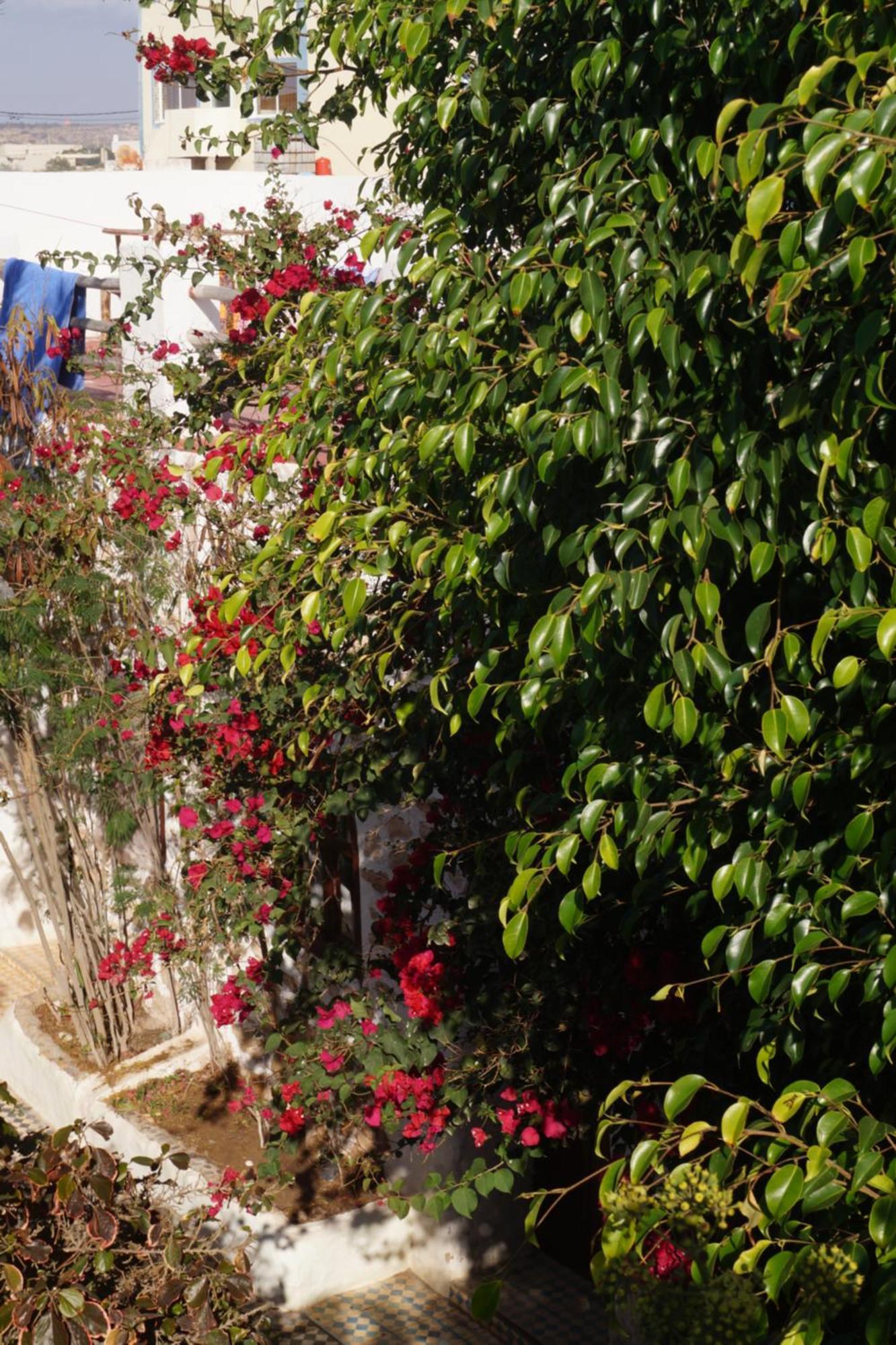 Hotel Sidi Kaouki Perla Exteriér fotografie